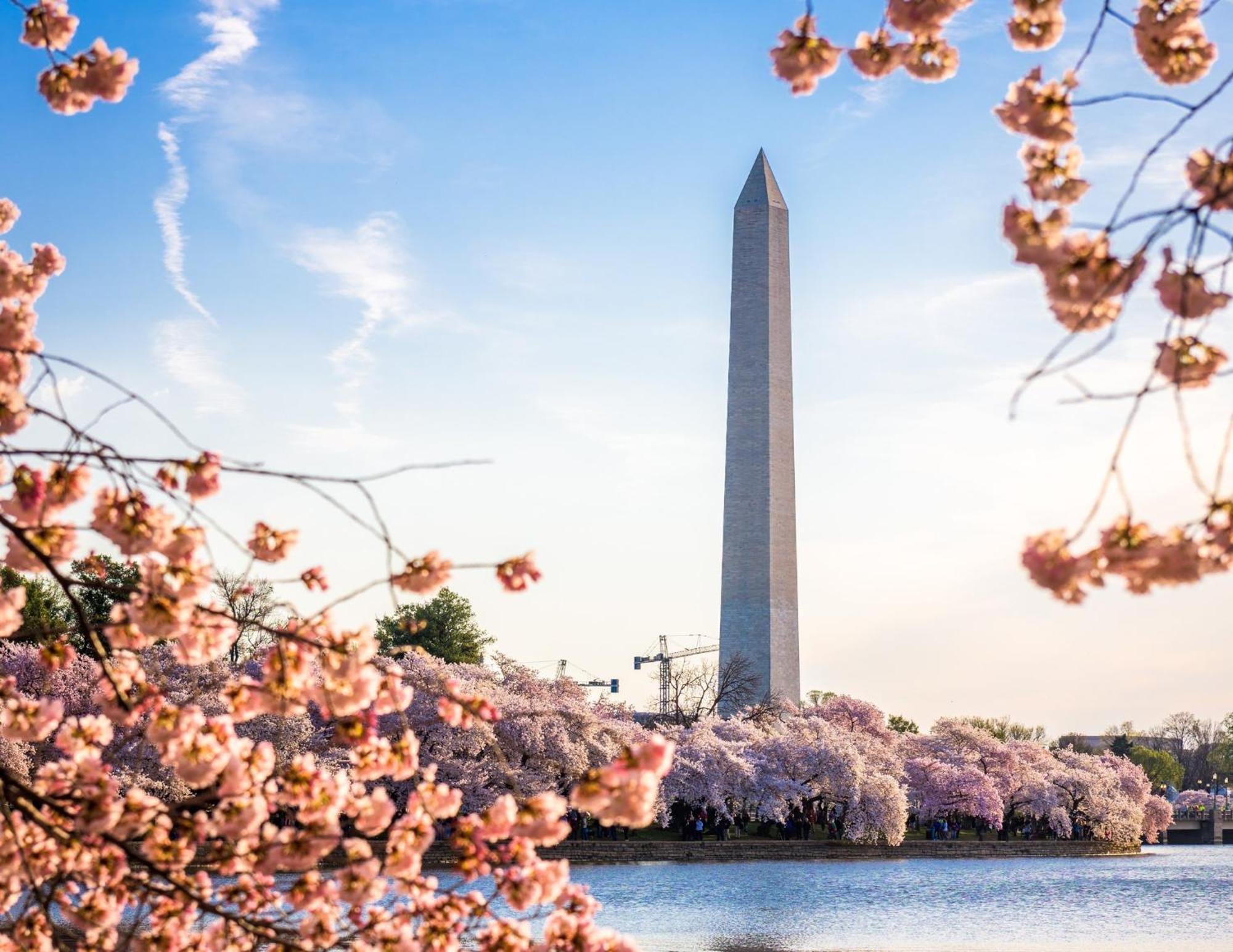 Staybridge Suites Washington D.C. - Greenbelt By Ihg Lanham Eksteriør bilde